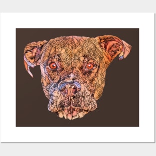 Bullmastiff Face Posters and Art